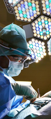 Ag亚洲集团(中国区)官方网站